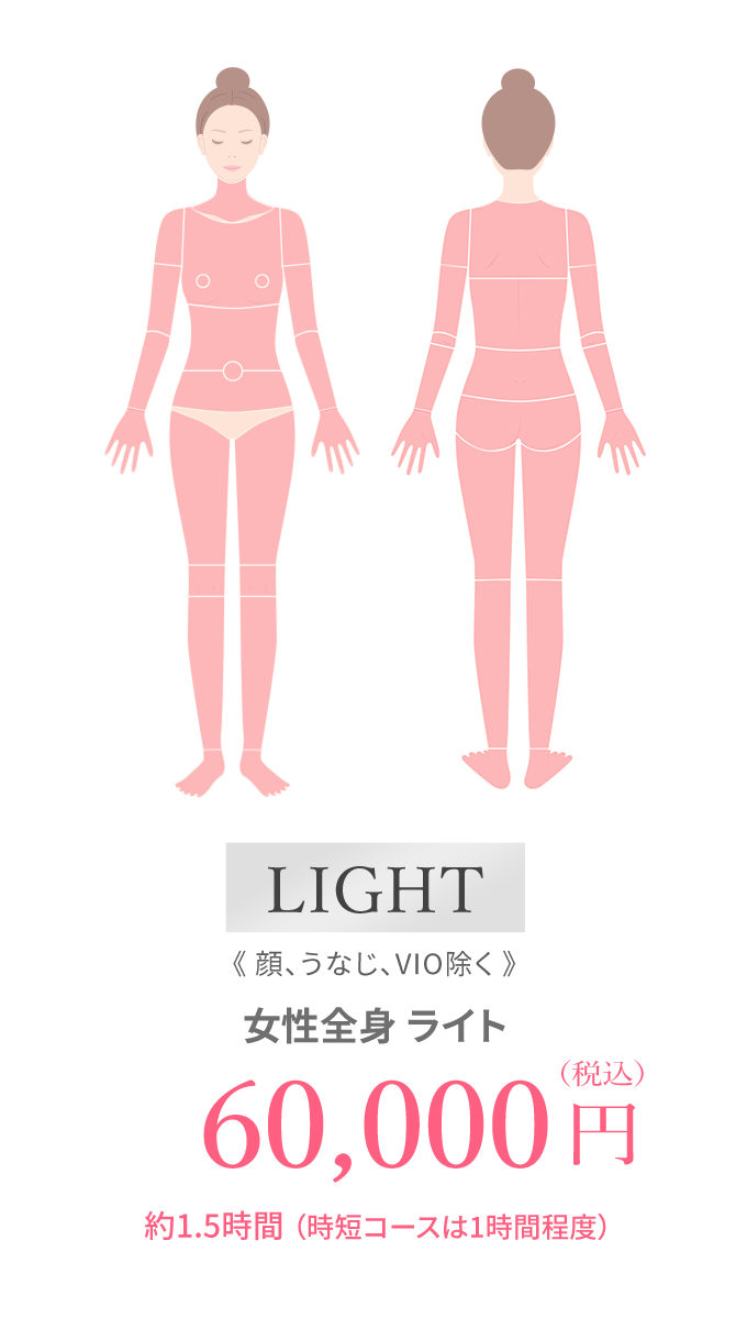 1日全身脱毛ライト(顔、うなじ、VIO除く)60,000円